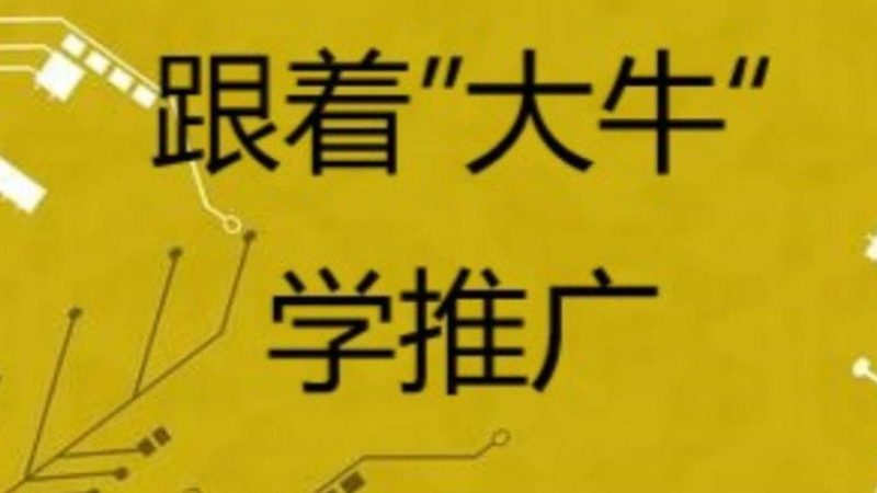 抖音推广加盟代理品牌：揭秘行业趋势与实操要点
